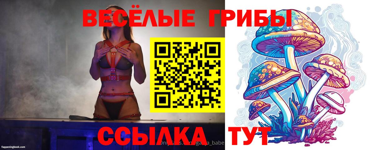 Котовск  Галлюциногенные грибы Psilocybine cubensis  Вход с VPN 